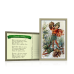 Набор открыток в суперобложке (16 шт., 100х150 мм.) «Феи». Стихи и иллюстрации Сесиль Мэри Баркер. 